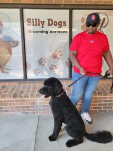 pet grooming silly dogs wilmington de
