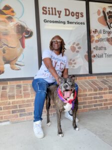 pet grooming wilmington