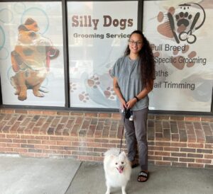 silly dog grooming