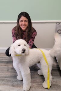 dog grooming delaware