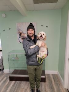 dog grooming philadelphia pa