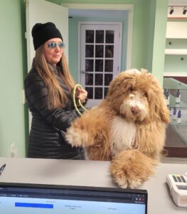 mobile dog grooming wilmington de