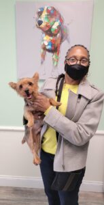 philadelphia mobile dog grooming